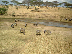 Tanzania