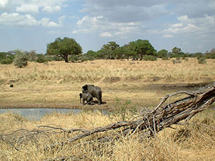 Tanzania