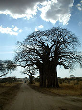 Tanzania