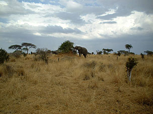 Tanzania