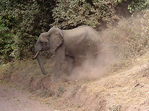 Tanzania