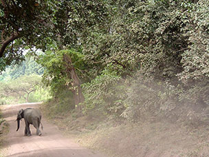 Tanzania