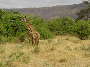 Tanzania