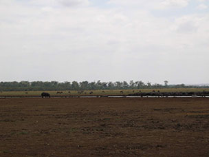 Tanzania