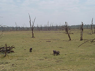 Tanzania