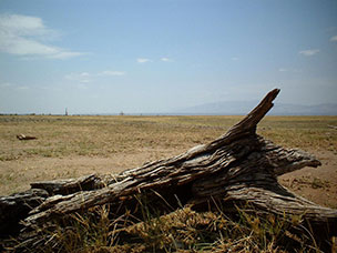 Tanzania