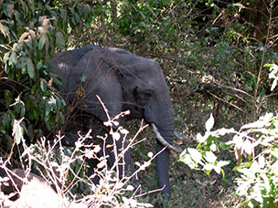 Tanzania