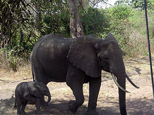 Tanzania