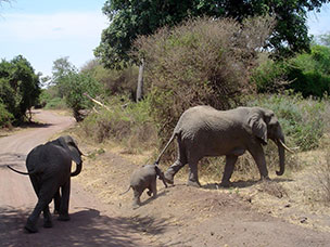 Tanzania
