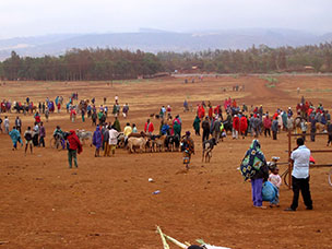 Tanzania