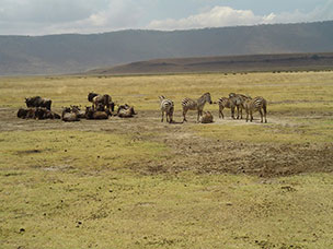 Tanzania