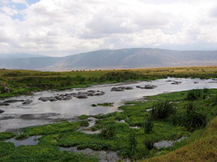 Tanzania