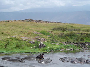 Tanzania