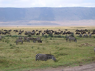 Tanzania
