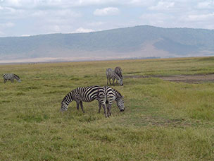 Tanzania