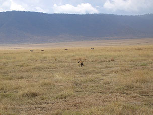 Tanzania