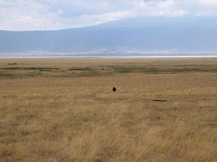 Tanzania