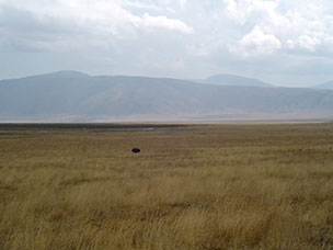 Tanzania