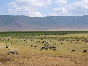 Tanzania