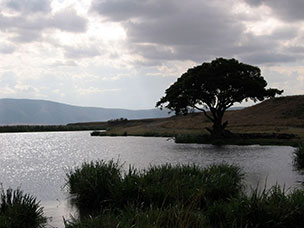 Tanzania