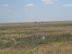 Tanzania
