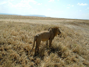 Tanzania