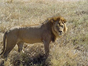 Tanzania