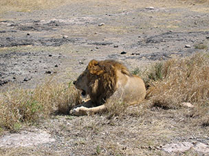 Tanzania