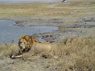 Tanzania