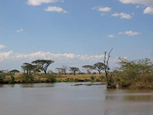 Tanzania