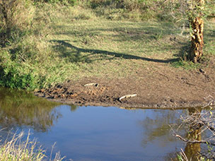 Tanzania