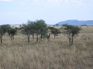 Tanzania