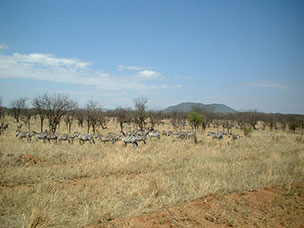 Tanzania