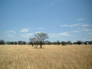 Tanzania