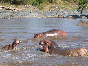 Tanzania