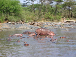 Tanzania
