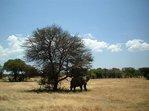 Tanzania