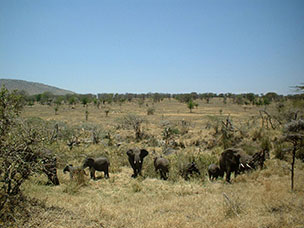 Tanzania
