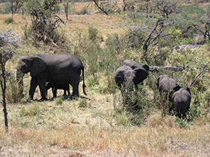 Tanzania