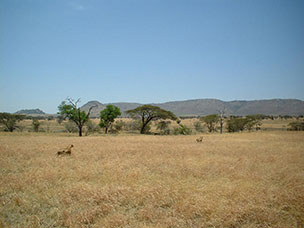 Tanzania