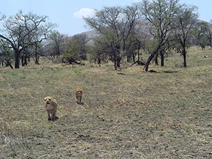 Tanzania