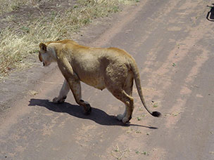 Tanzania
