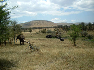 Tanzania