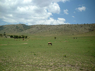Tanzania