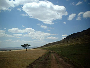 Tanzania