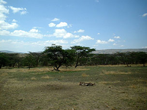 Tanzania