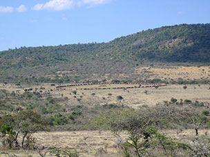 Tanzania