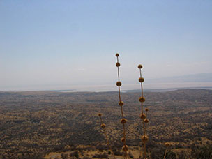 Tanzania