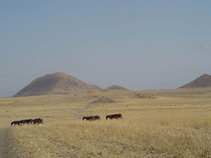 Tanzania