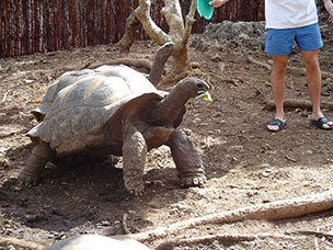 Tanzania
